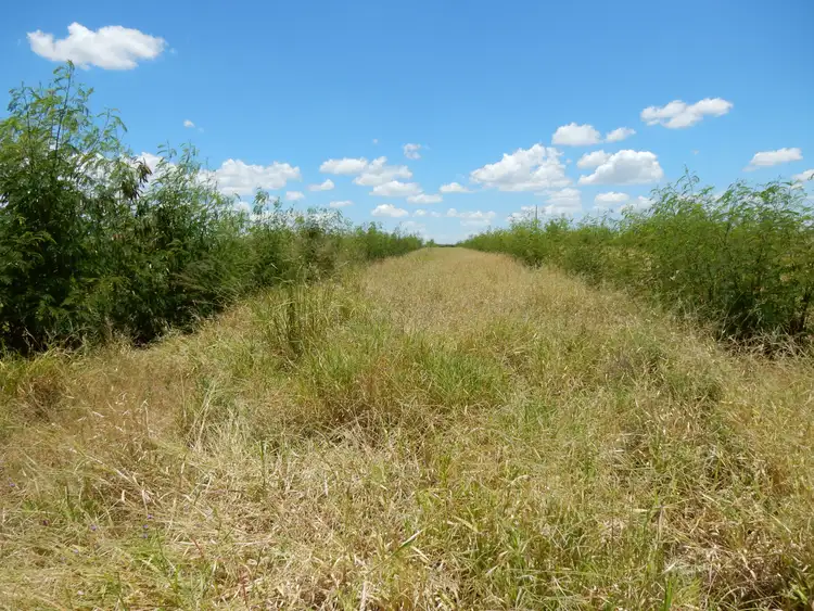 Third view of Homely rural property listing, 'Santa Rosa' 85 Reimers Road, Orange Creek QLD 4715