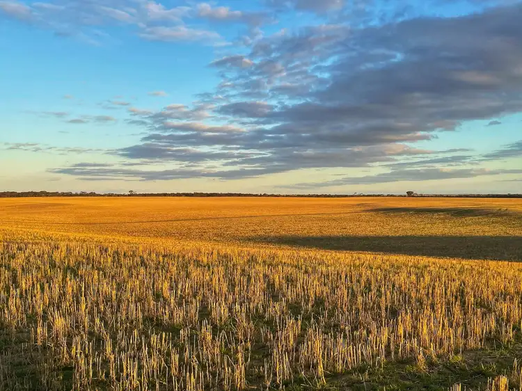 2405 Needilup Road North, Pingrup WA 6343