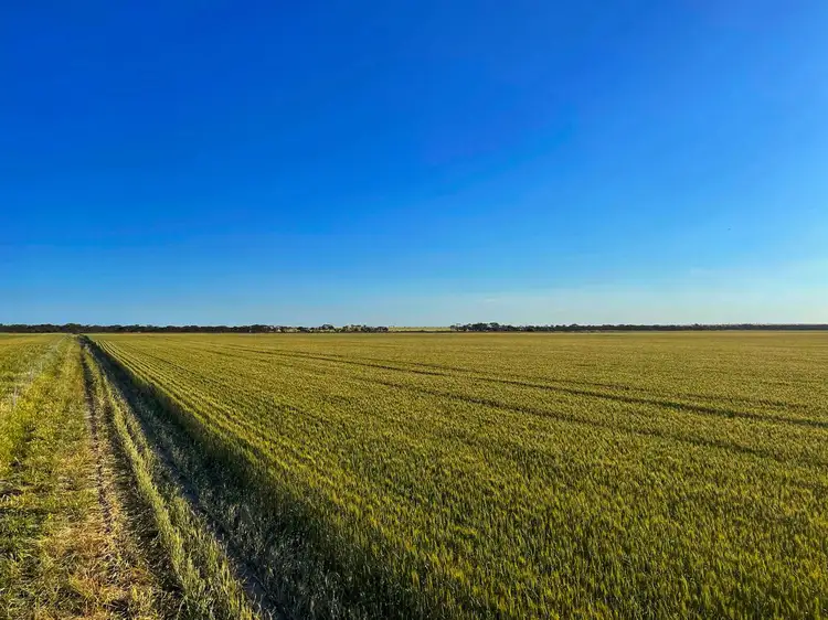Third view of Homely rural property listing, 2405 Needilup Road North, Pingrup WA 6343