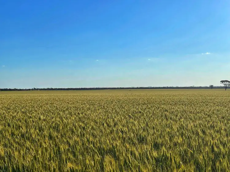 Fourth view of Homely rural property listing, 2405 Needilup Road North, Pingrup WA 6343