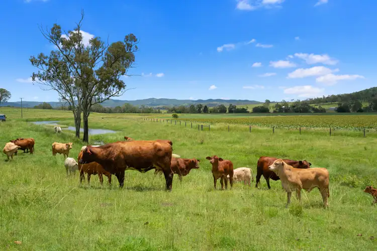 Second view of Homely rural property listing, 357 Scrub Creek Road, Scrub Creek QLD 4313
