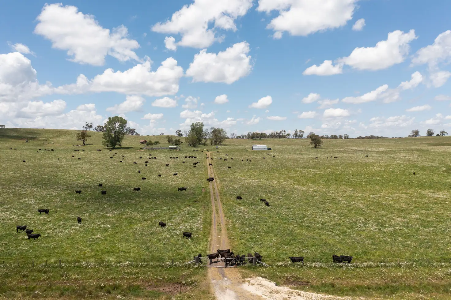 Main view of Homely rural property listing, 700 Bagot Road, Oban NSW 2365