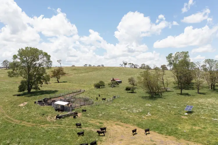 Third view of Homely rural property listing, 700 Bagot Road, Oban NSW 2365