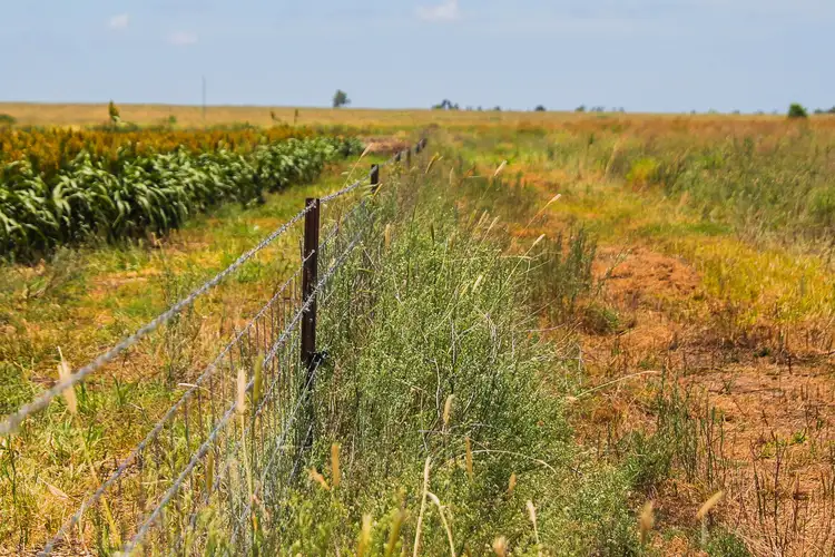 Third view of Homely rural property listing, 111 Mount Pleasant Road, Irvingdale QLD 4404