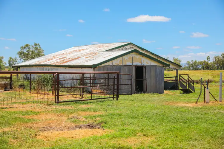 Seventh view of Homely rural property listing, 111 Mount Pleasant Road, Irvingdale QLD 4404