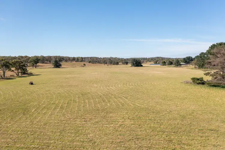 Fourth view of Homely rural property listing, 485 Black Mountain Road, Black Mountain NSW 2365