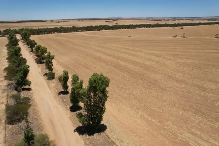 Second view of Homely rural property listing, Lake Moore, Goodlands WA 6468