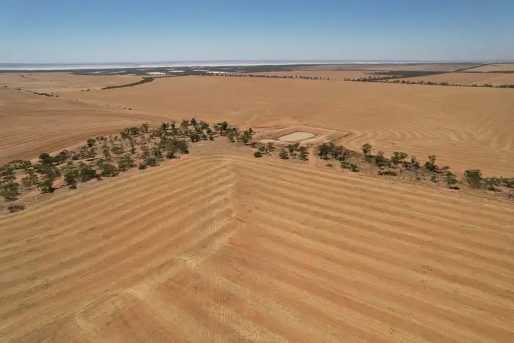 Fourth view of Homely rural property listing, Lake Moore, Goodlands WA 6468