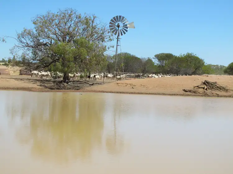 Fifth view of Homely rural property listing, Lake Moore, Goodlands WA 6468