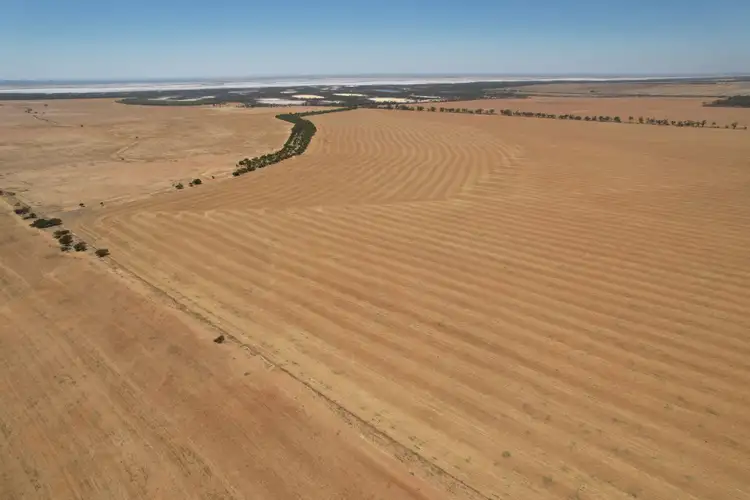 Sixth view of Homely rural property listing, Lake Moore, Goodlands WA 6468