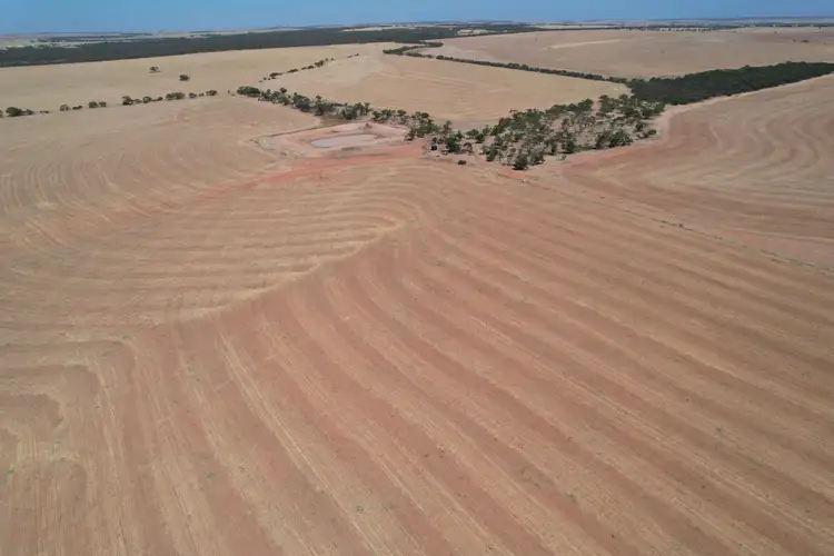 Seventh view of Homely rural property listing, Lake Moore, Goodlands WA 6468
