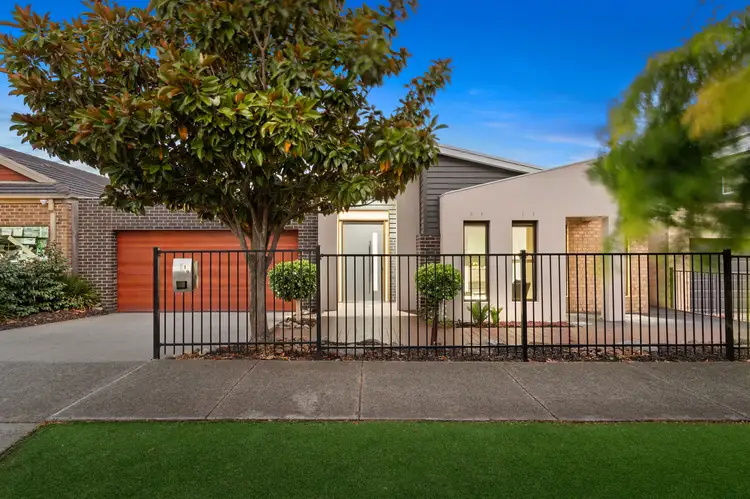 19 Avoca Avenue, Mernda VIC 3754
