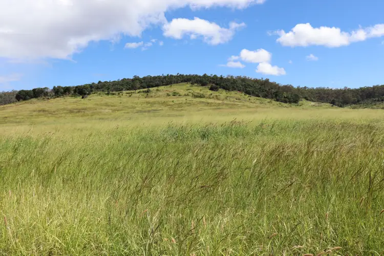 Sixth view of Homely rural property listing, 259 Parkers Road, Branch Creek QLD 4625