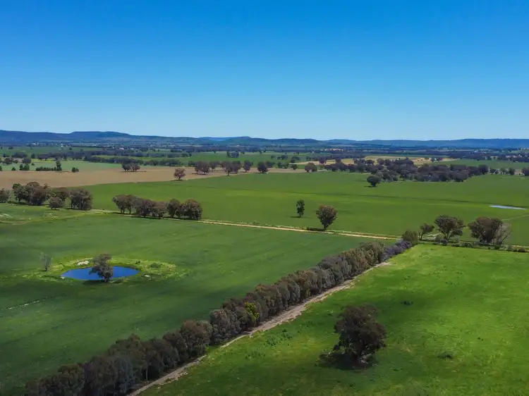 'Bellhaven Park' Morongla Road, Cowra NSW 2794