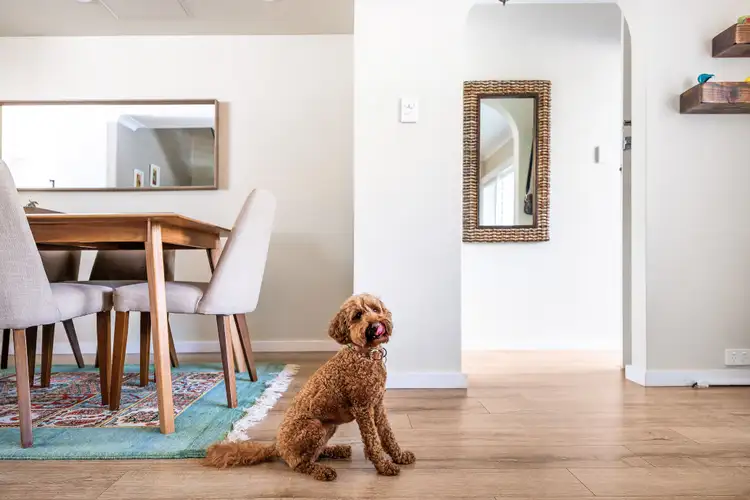 Third view of Homely townhouse listing, 2/8-12 Winnie Street, Cremorne NSW 2090