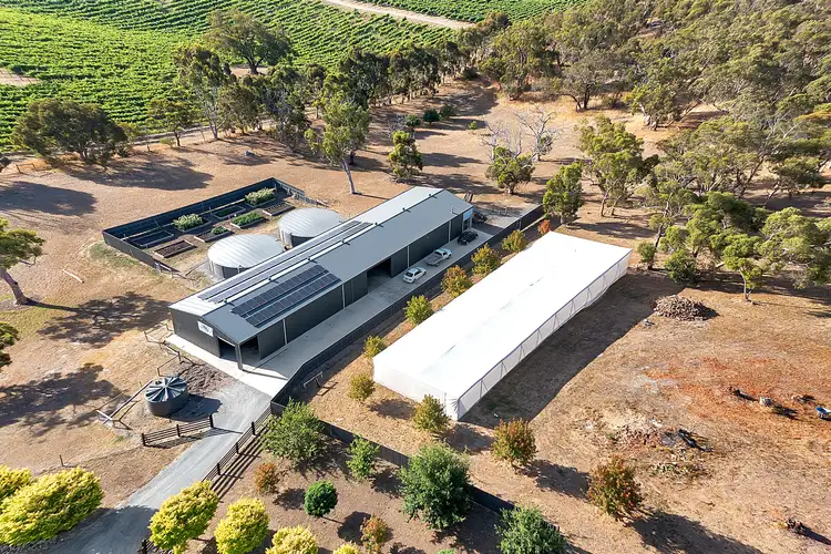 Third view of Homely rural property listing, 250 Martin Hill Road, Forreston SA 5233