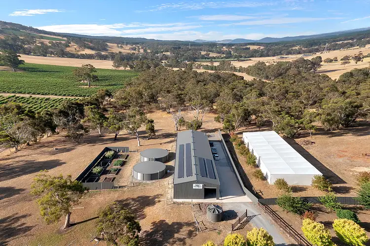 Fourth view of Homely rural property listing, 250 Martin Hill Road, Forreston SA 5233