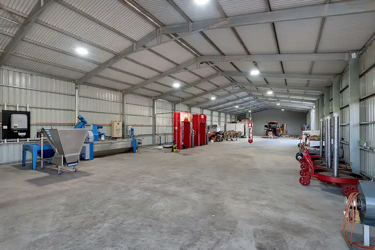 Sixth view of Homely rural property listing, 250 Martin Hill Road, Forreston SA 5233