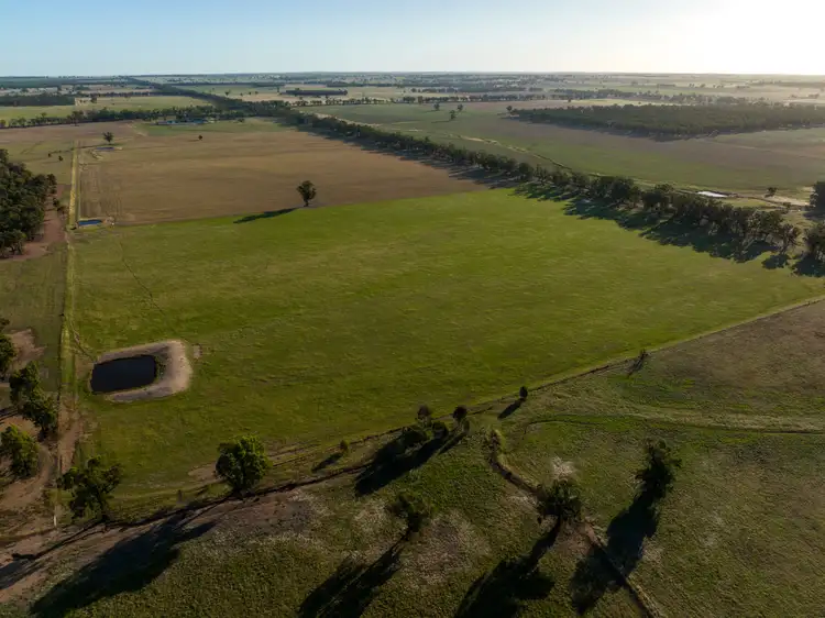 Second view of Homely rural property listing, 886 Tara-Bectric Road, Quandary via, Temora NSW 2666