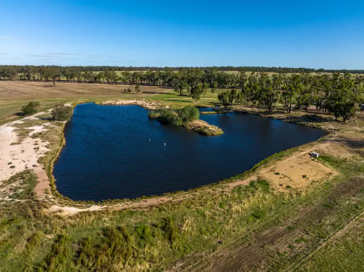 Third view of Homely rural property listing, 886 Tara-Bectric Road, Quandary via, Temora NSW 2666