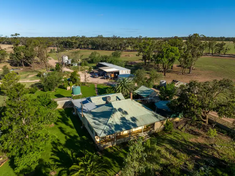 Fourth view of Homely rural property listing, 886 Tara-Bectric Road, Quandary via, Temora NSW 2666