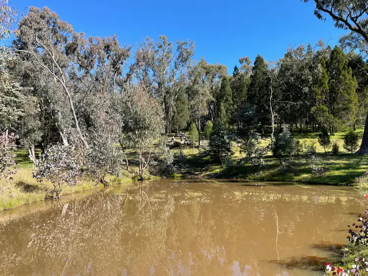Seventh view of Homely rural property listing, 'Timbered Retreat' Cobb Drive, Woodstock NSW 2793