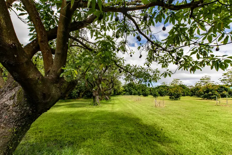 Third view of Homely house listing, 30 Kidd Street, Tamborine Mountain QLD 4272