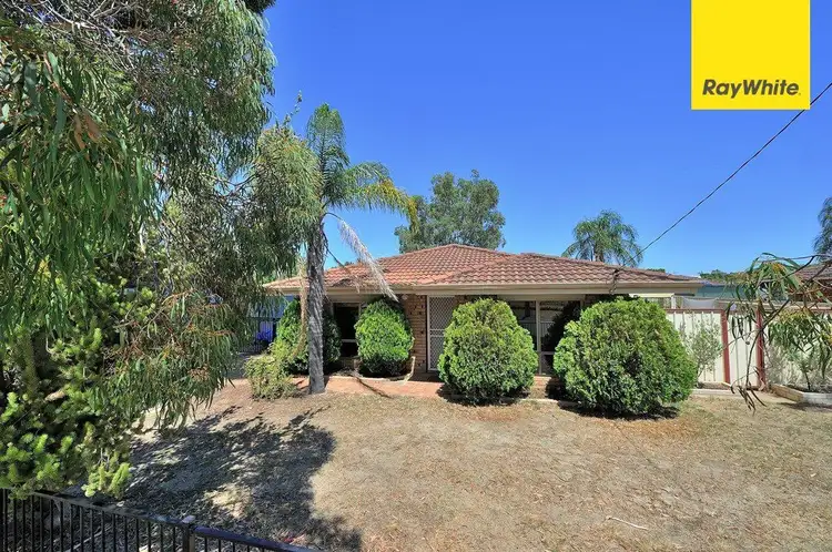 Main view of Homely house listing, 99 Ewart Street, Midland WA 6056