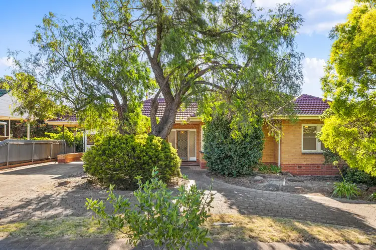 7 Pope Street, Newton SA 5074