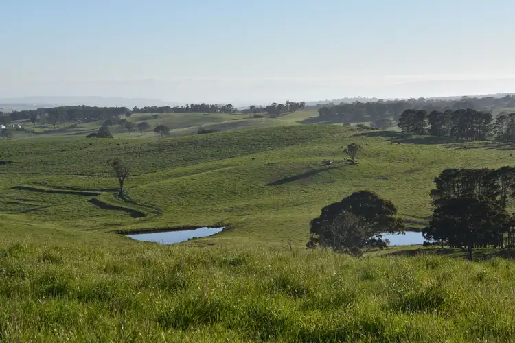 Main view of Homely rural property listing, 135 Bundaleer Road, Newbridge NSW 2795