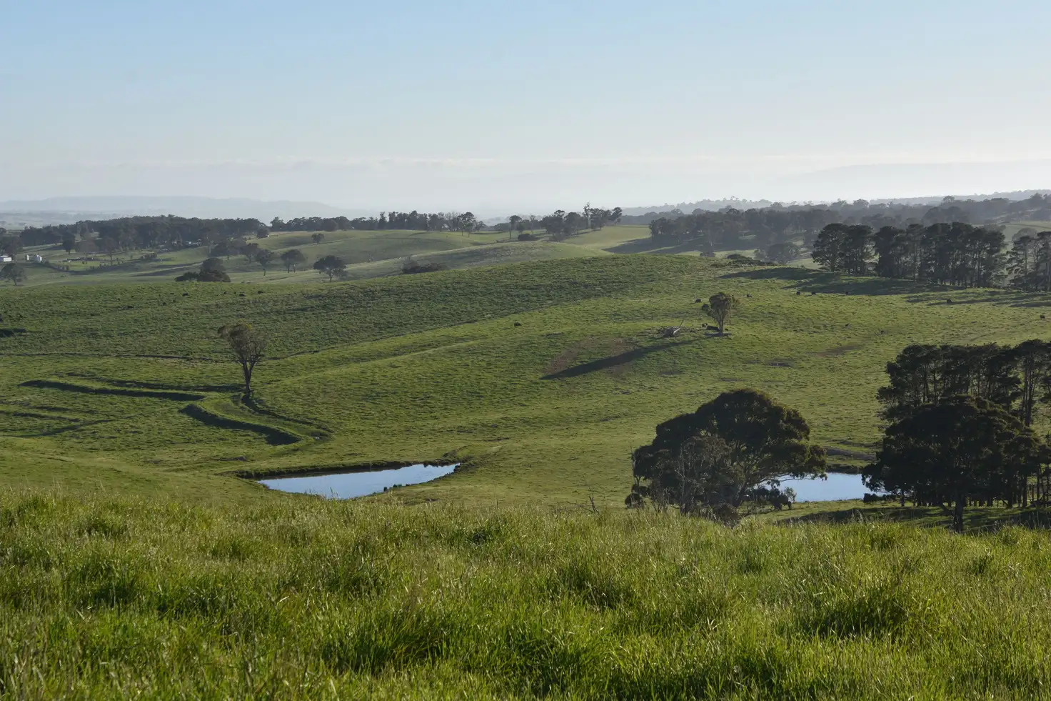 Main view of Homely rural property listing, 135 Bundaleer Road, Newbridge NSW 2795