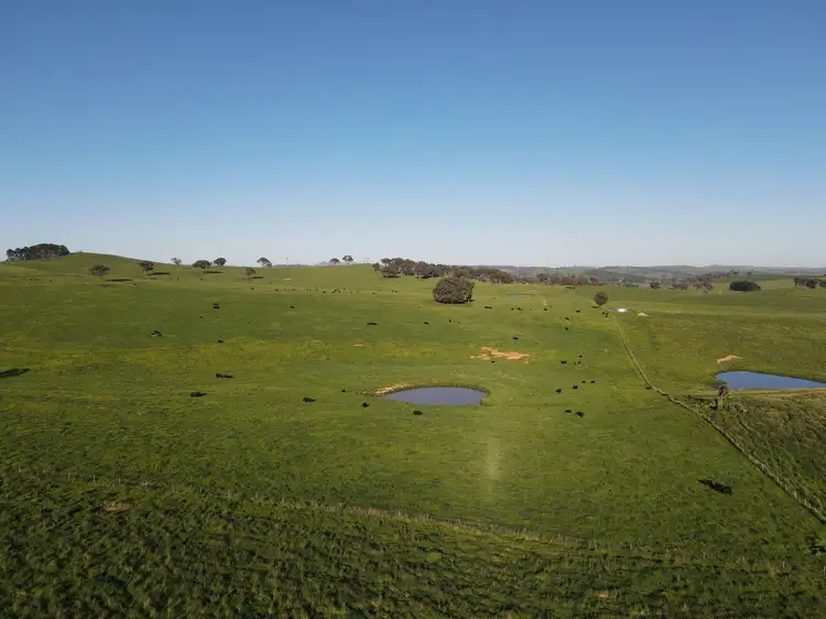 Second view of Homely rural property listing, 135 Bundaleer Road, Newbridge NSW 2795