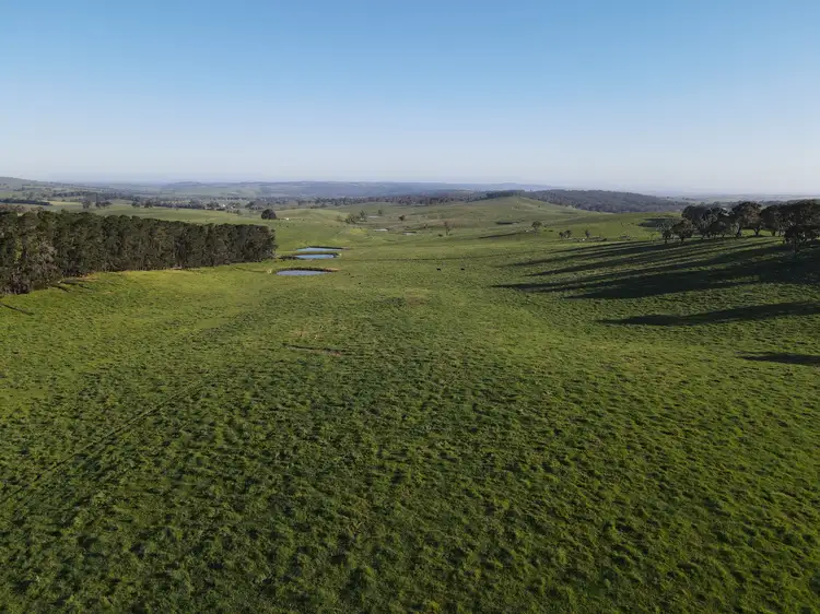 Fourth view of Homely rural property listing, 135 Bundaleer Road, Newbridge NSW 2795