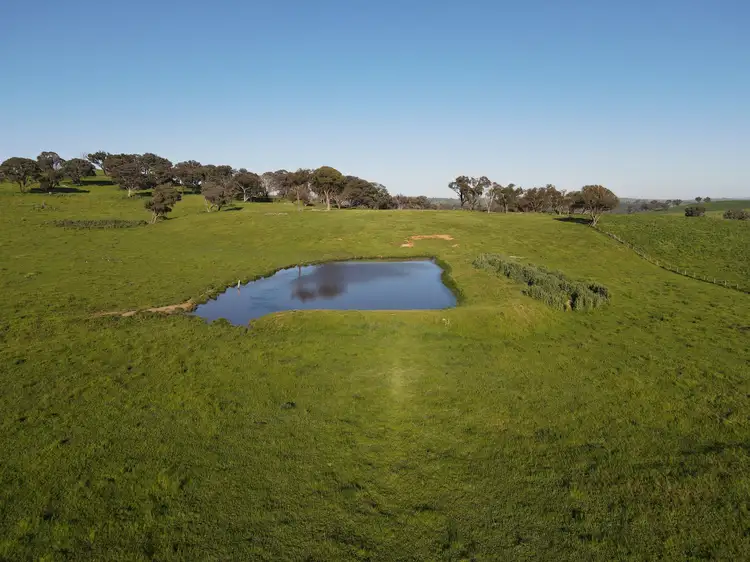 Fifth view of Homely rural property listing, 135 Bundaleer Road, Newbridge NSW 2795