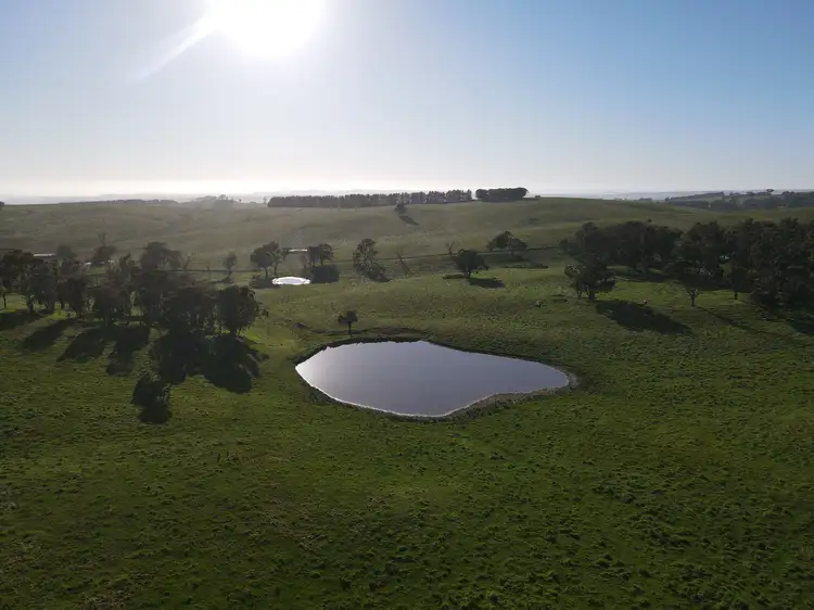 Sixth view of Homely rural property listing, 135 Bundaleer Road, Newbridge NSW 2795