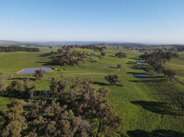 Seventh view of Homely rural property listing, 135 Bundaleer Road, Newbridge NSW 2795