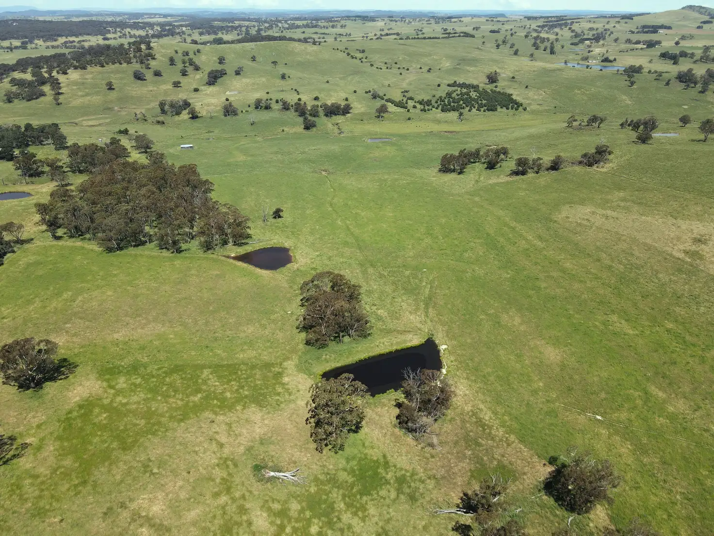 Main view of Homely rural property listing, 1224 Newbridge Road, Newbridge NSW 2795