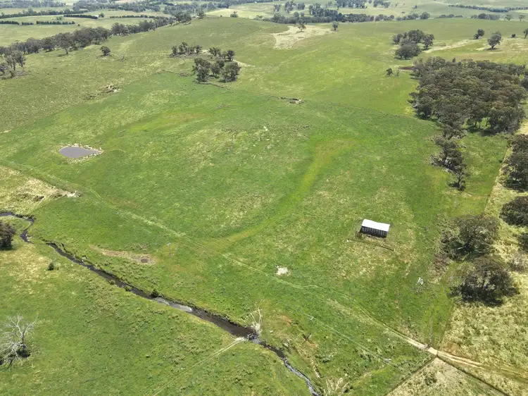 Third view of Homely rural property listing, 1224 Newbridge Road, Newbridge NSW 2795