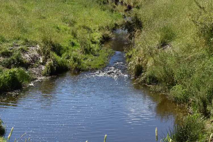 Fifth view of Homely rural property listing, 1224 Newbridge Road, Newbridge NSW 2795
