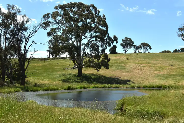 Sixth view of Homely rural property listing, 1224 Newbridge Road, Newbridge NSW 2795
