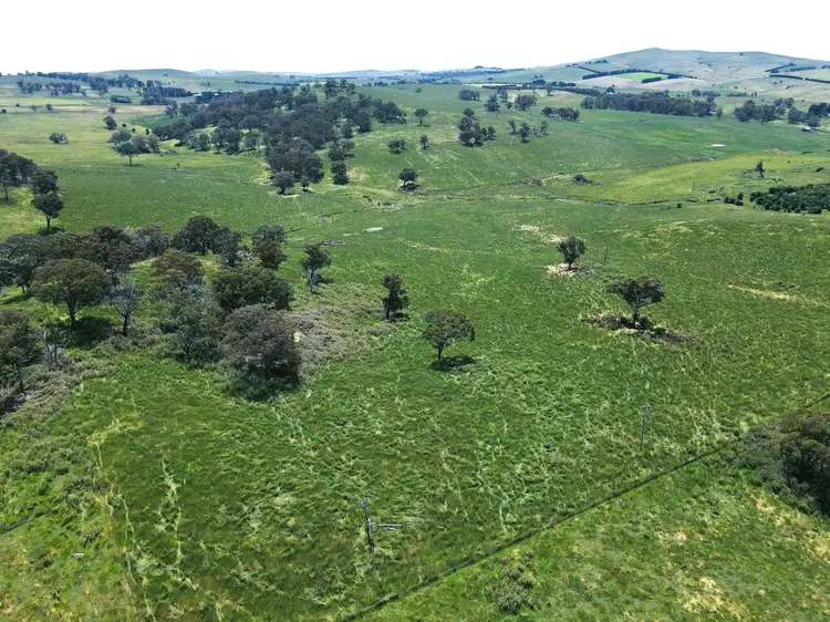 Seventh view of Homely rural property listing, 1224 Newbridge Road, Newbridge NSW 2795