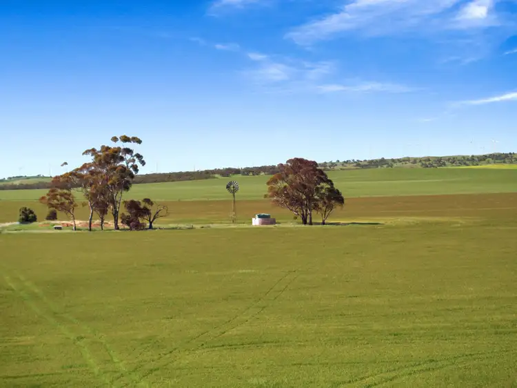Main view of Homely rural property listing, 'Clark's' - 528 Worubia Road, Hacklins Corner SA 5454
