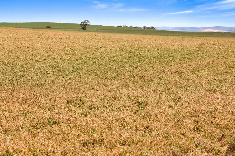 Seventh view of Homely rural property listing, 'Clark's' - 528 Worubia Road, Hacklins Corner SA 5454