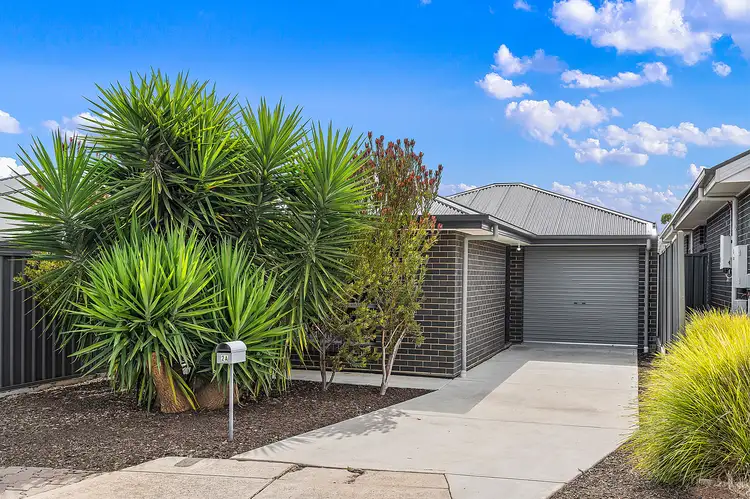 2A Pellew Street, Windsor Gardens SA 5087