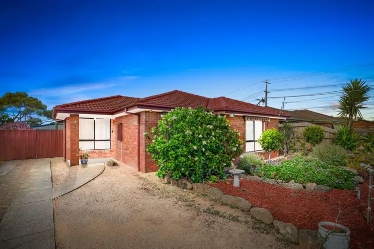 12 Berrigan Court, Werribee VIC 3030