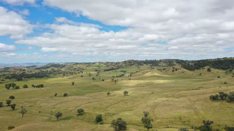Third view of Homely rural property listing, 'Craigburn' Wisemans Arm Road, Tamworth NSW 2340