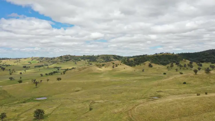 Fourth view of Homely rural property listing, 'Craigburn' Wisemans Arm Road, Tamworth NSW 2340