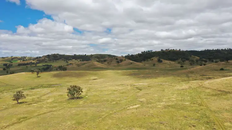 Seventh view of Homely rural property listing, 'Craigburn' Wisemans Arm Road, Tamworth NSW 2340