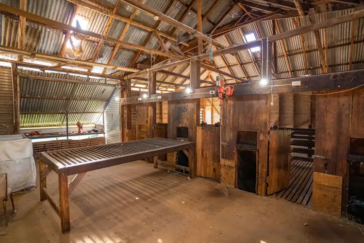 Seventh view of Homely rural property listing, "Alston" 1580 Tarrants Gap Road, Wyangala NSW 2808