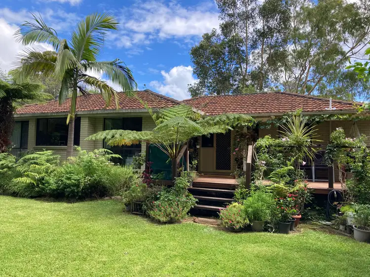 Main view of Homely house listing, 3 Halpin Street, Bellingen NSW 2454